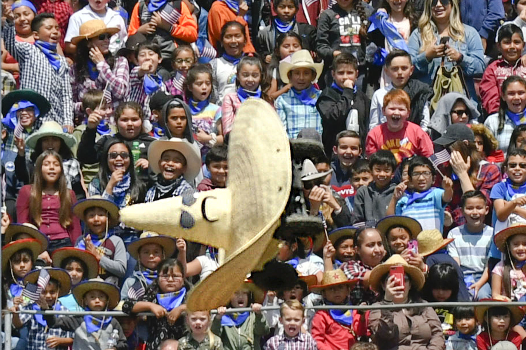 053019 Mini Rodeo sports 27.jpg